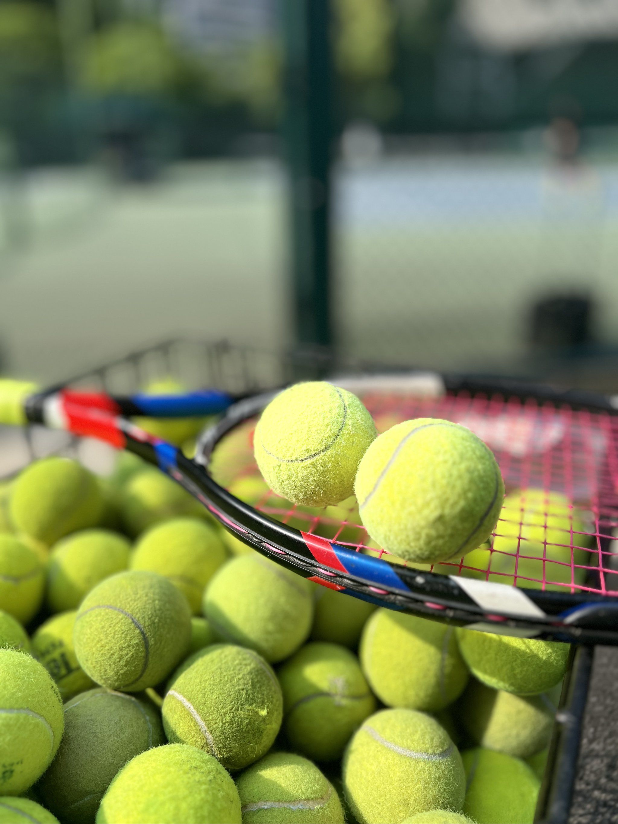 优势又能拉 优势又能拉