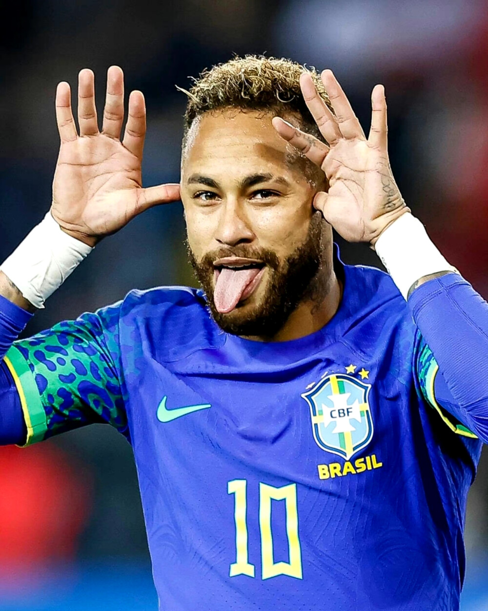 塞斯科在莱 塞斯科在莱