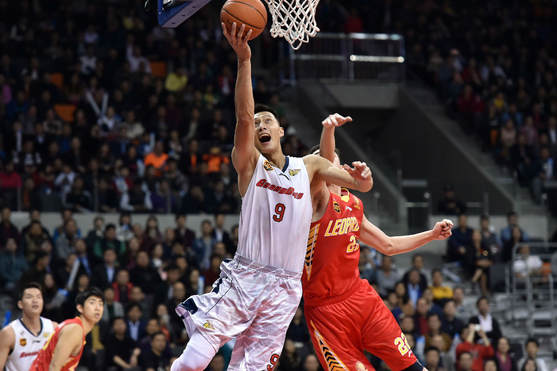 的影响下 的影响下